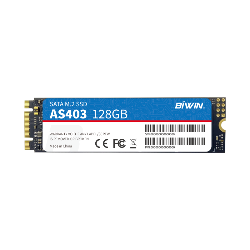M.2 SATA SSD（图1）